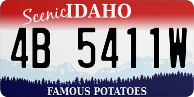 ID license plate 4B5411W