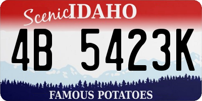 ID license plate 4B5423K