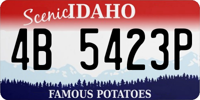 ID license plate 4B5423P