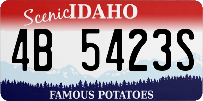 ID license plate 4B5423S