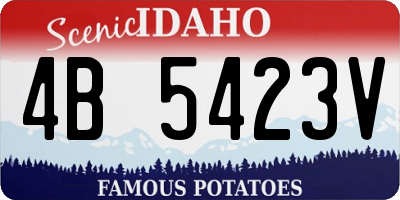 ID license plate 4B5423V