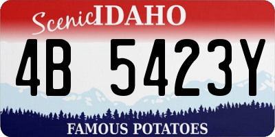 ID license plate 4B5423Y