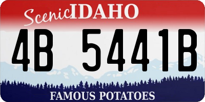 ID license plate 4B5441B