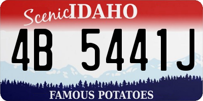 ID license plate 4B5441J