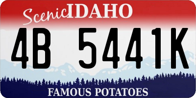 ID license plate 4B5441K
