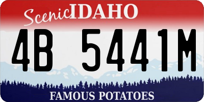 ID license plate 4B5441M