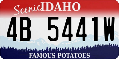 ID license plate 4B5441W