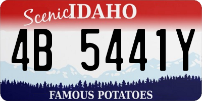 ID license plate 4B5441Y