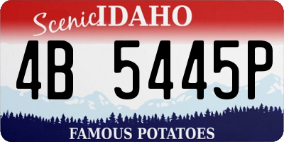 ID license plate 4B5445P