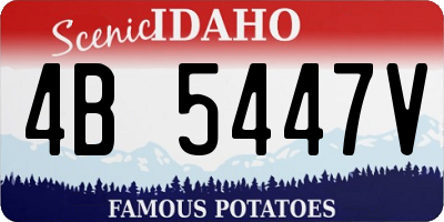 ID license plate 4B5447V