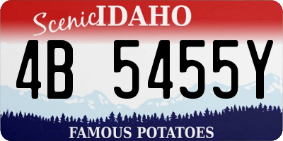 ID license plate 4B5455Y