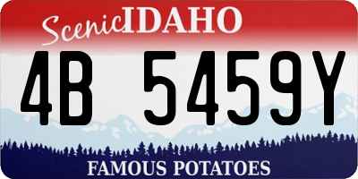 ID license plate 4B5459Y