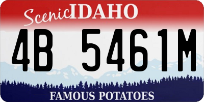 ID license plate 4B5461M