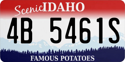 ID license plate 4B5461S