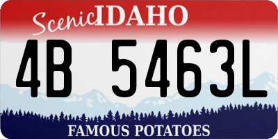 ID license plate 4B5463L