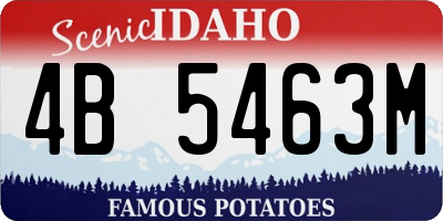 ID license plate 4B5463M