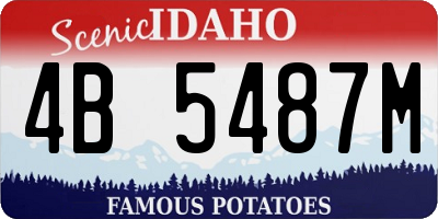ID license plate 4B5487M