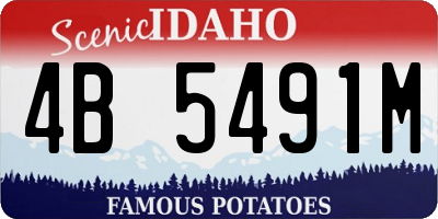 ID license plate 4B5491M