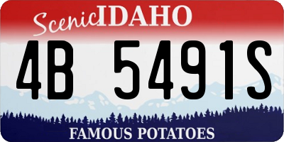 ID license plate 4B5491S
