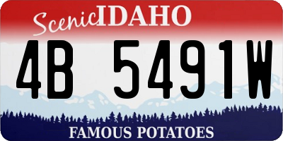 ID license plate 4B5491W