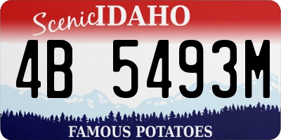 ID license plate 4B5493M