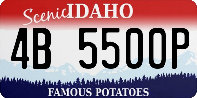 ID license plate 4B5500P