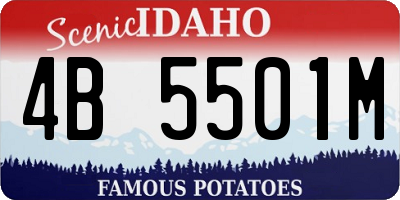 ID license plate 4B5501M