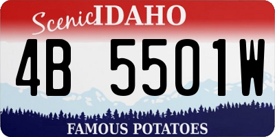 ID license plate 4B5501W