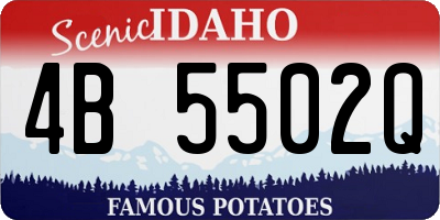 ID license plate 4B5502Q