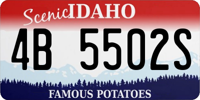 ID license plate 4B5502S