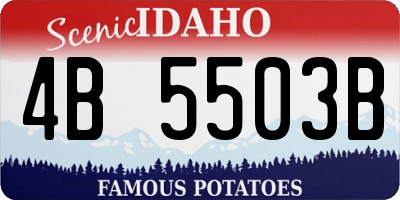 ID license plate 4B5503B