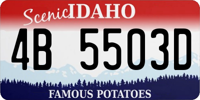 ID license plate 4B5503D