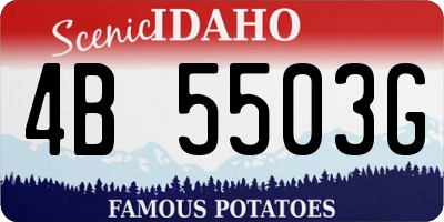 ID license plate 4B5503G