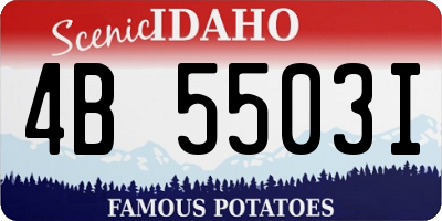 ID license plate 4B5503I