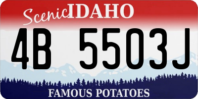 ID license plate 4B5503J