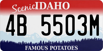 ID license plate 4B5503M