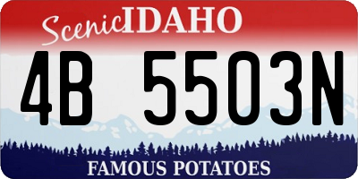 ID license plate 4B5503N