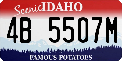 ID license plate 4B5507M