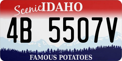 ID license plate 4B5507V