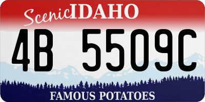 ID license plate 4B5509C