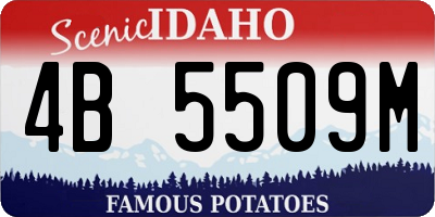 ID license plate 4B5509M