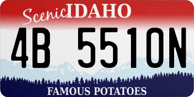 ID license plate 4B5510N