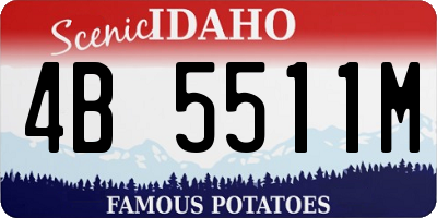 ID license plate 4B5511M