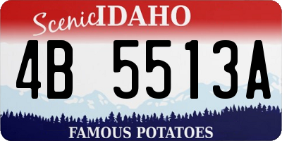 ID license plate 4B5513A