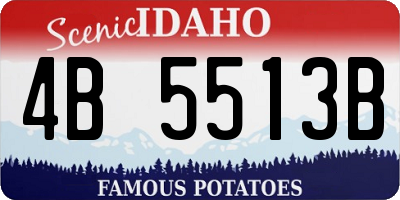 ID license plate 4B5513B
