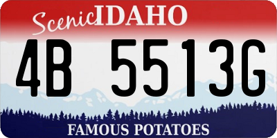 ID license plate 4B5513G
