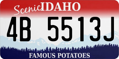 ID license plate 4B5513J