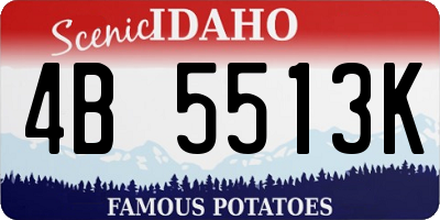 ID license plate 4B5513K