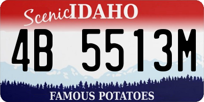 ID license plate 4B5513M