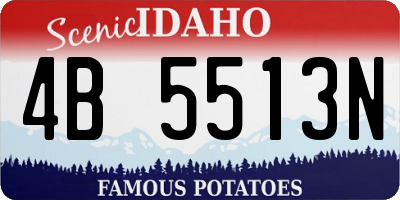 ID license plate 4B5513N